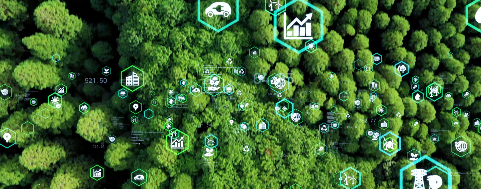 Taking a software-driven approach to sustainability 