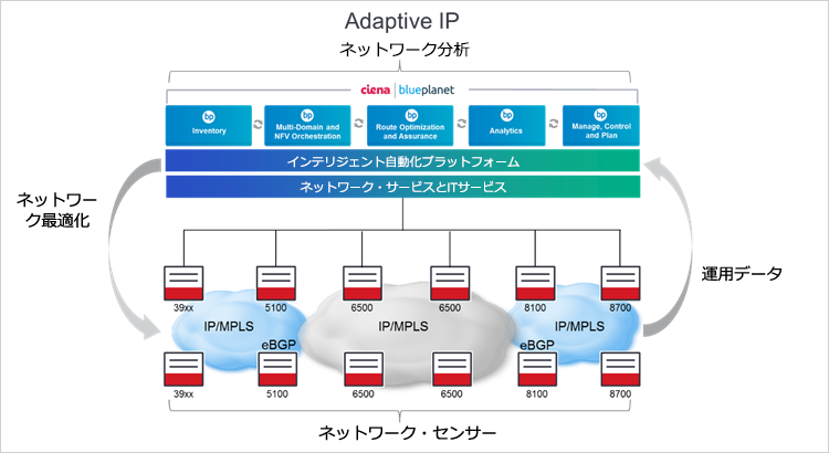 CienaのAdaptive IPの図