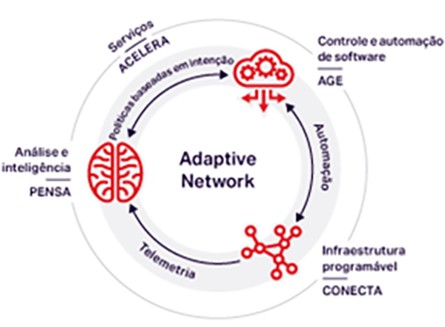 Visão Adaptive Network da Ciena