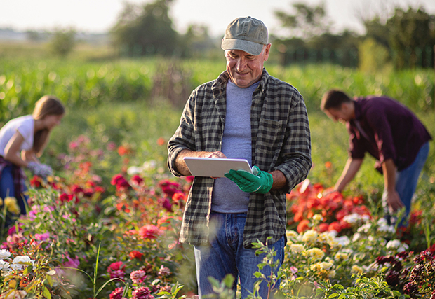 An image of a man using a tablet in a farm field, representing efforts to address the gap in rural connectivity. The man is utilizing technology to bridge the digital divide and access information, services, and opportunities in rural areas.