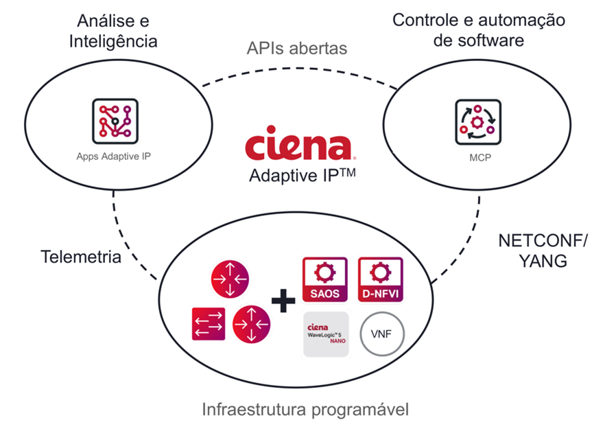 Adaptive IP Diagram translated in Portuguese