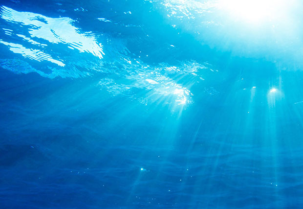 An image of an underwater scene with beams of sunlight shining through the water. The image depicts the submerged environment of submarine networks, highlighting the importance of underwater infrastructure in global communications