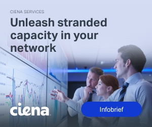 InfoBrief: Ciena Spectrum Defragmentation Service