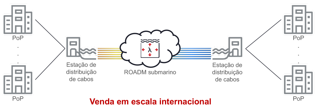 Figure 3_International Wholesaler Network Illustration