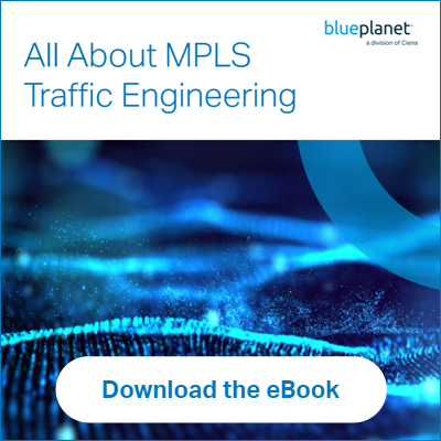 MPLS+Traffic+Engineering+eBook