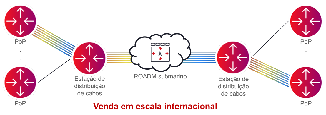 Figure 4_International Wholesaler Network Illustration