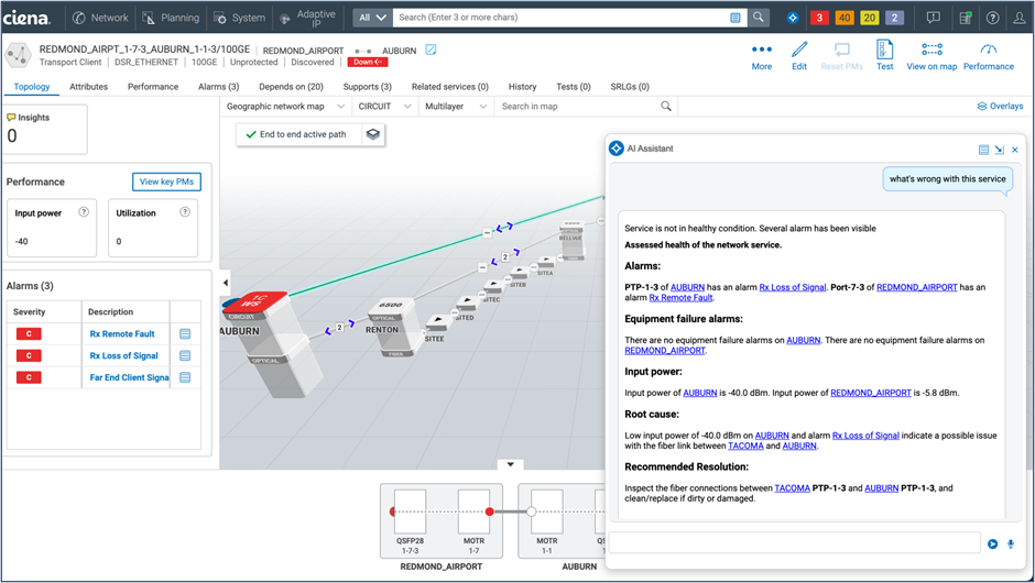 Ciena Navigator AI Assistant Screenshot