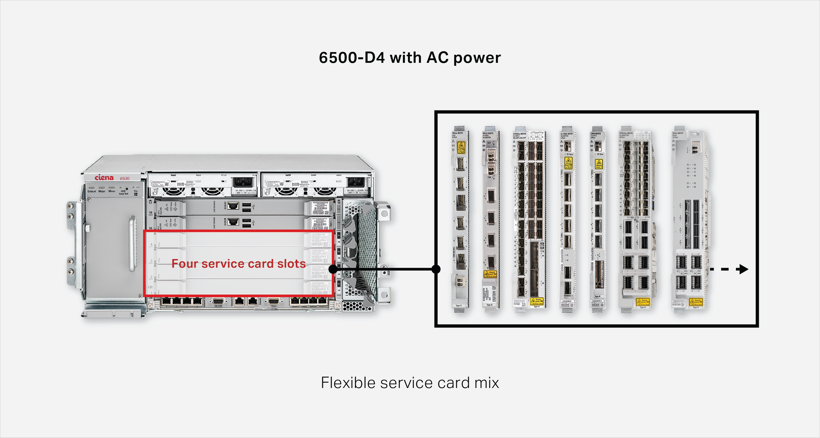 Figure 1: Service diversity and flexibility with the 6500-D4