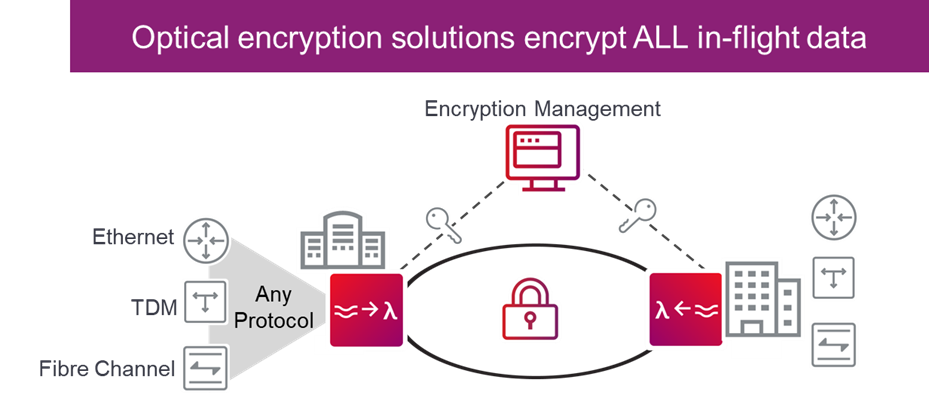 diagram showing optical encryption solutions encrypt all in-flight data