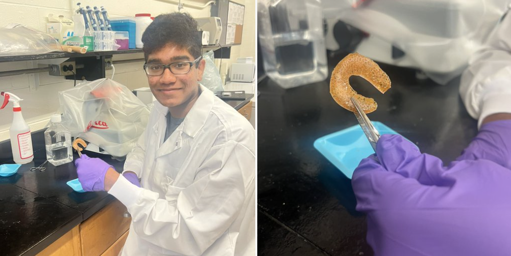 A student holding a 3D printed knee impant