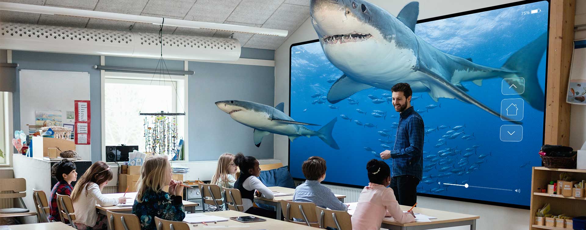Des requins en classe avec des élèves et leur enseignant