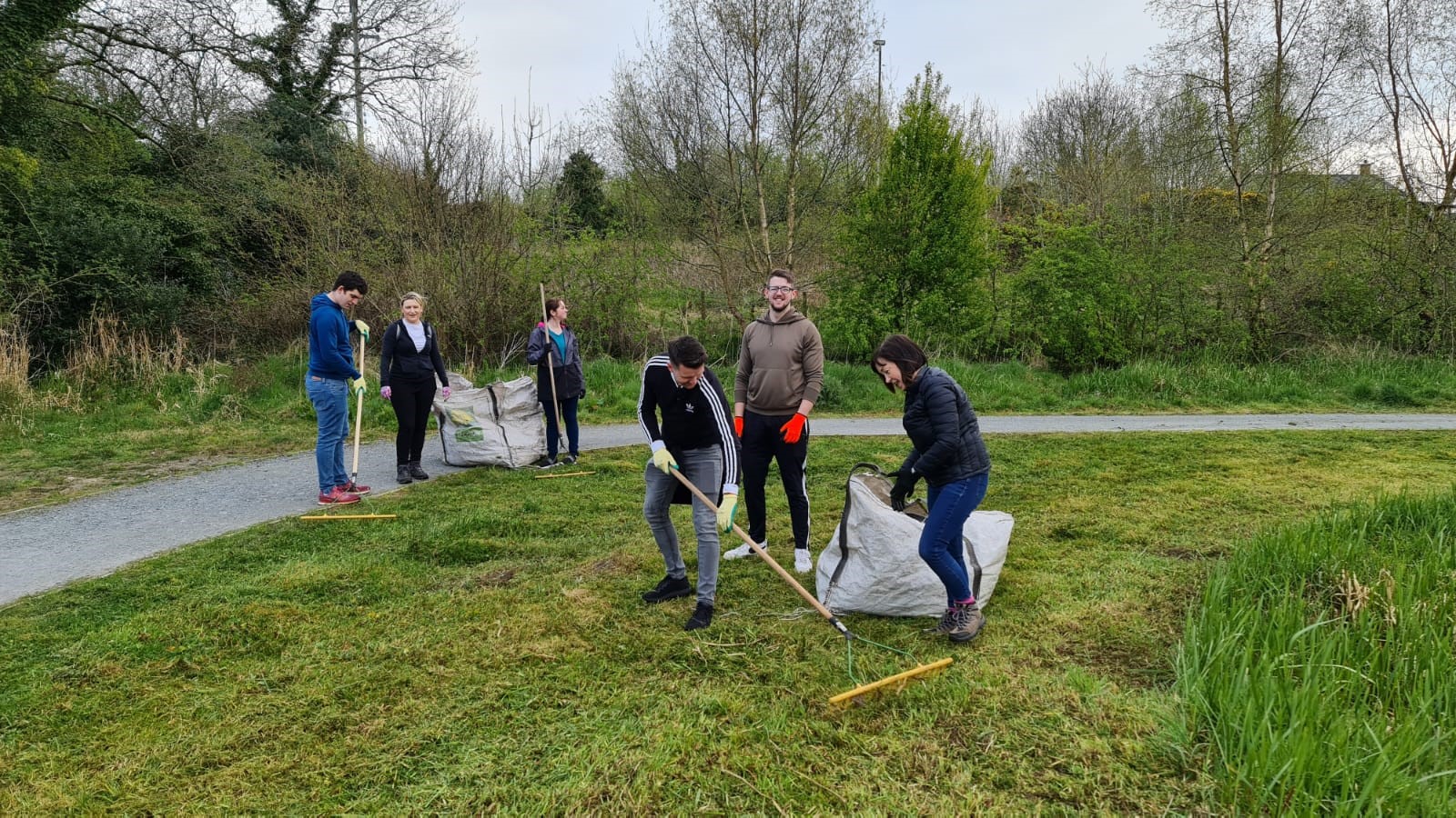 ciena employees raking grass