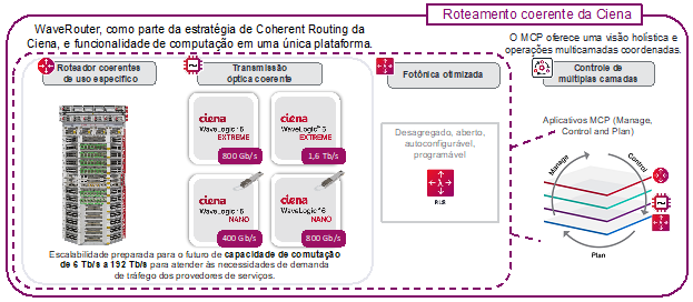 Ciena's Coherent Routing with WaveRouter