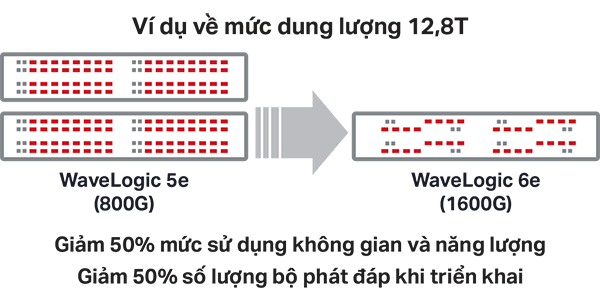 12.8T Capacity Example Vietnamese translation