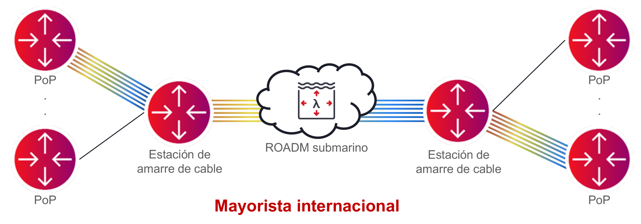 Figure 4_International Wholesaler Network Illustration