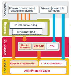 Diagram of OTN within an optical network