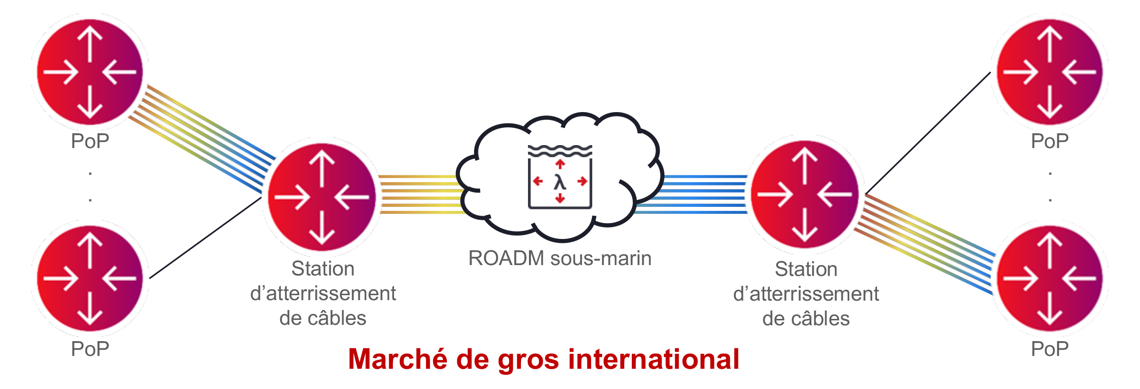 Figure 4_International Wholesaler Network Illustration