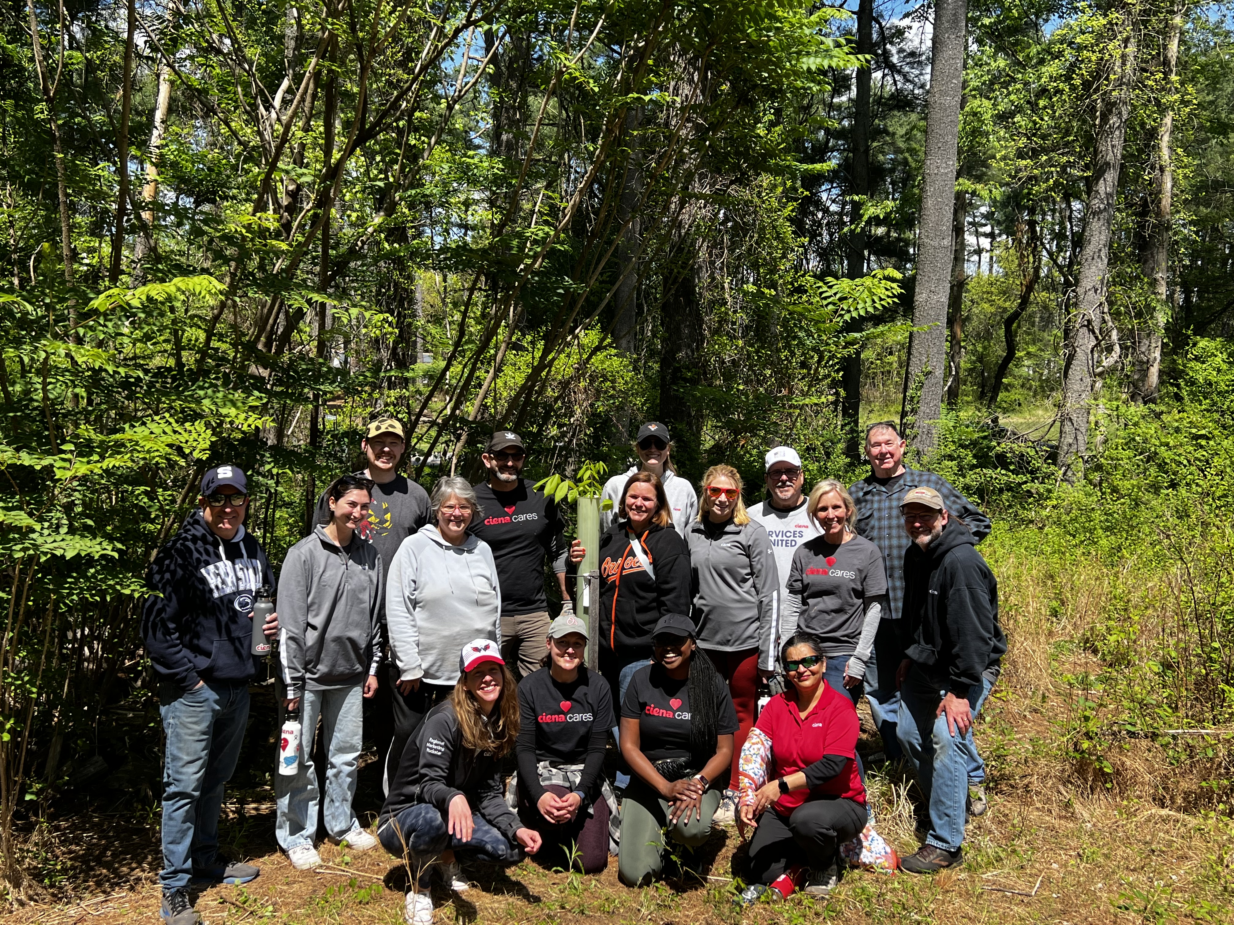 Men and women smiling around a tree in the forest