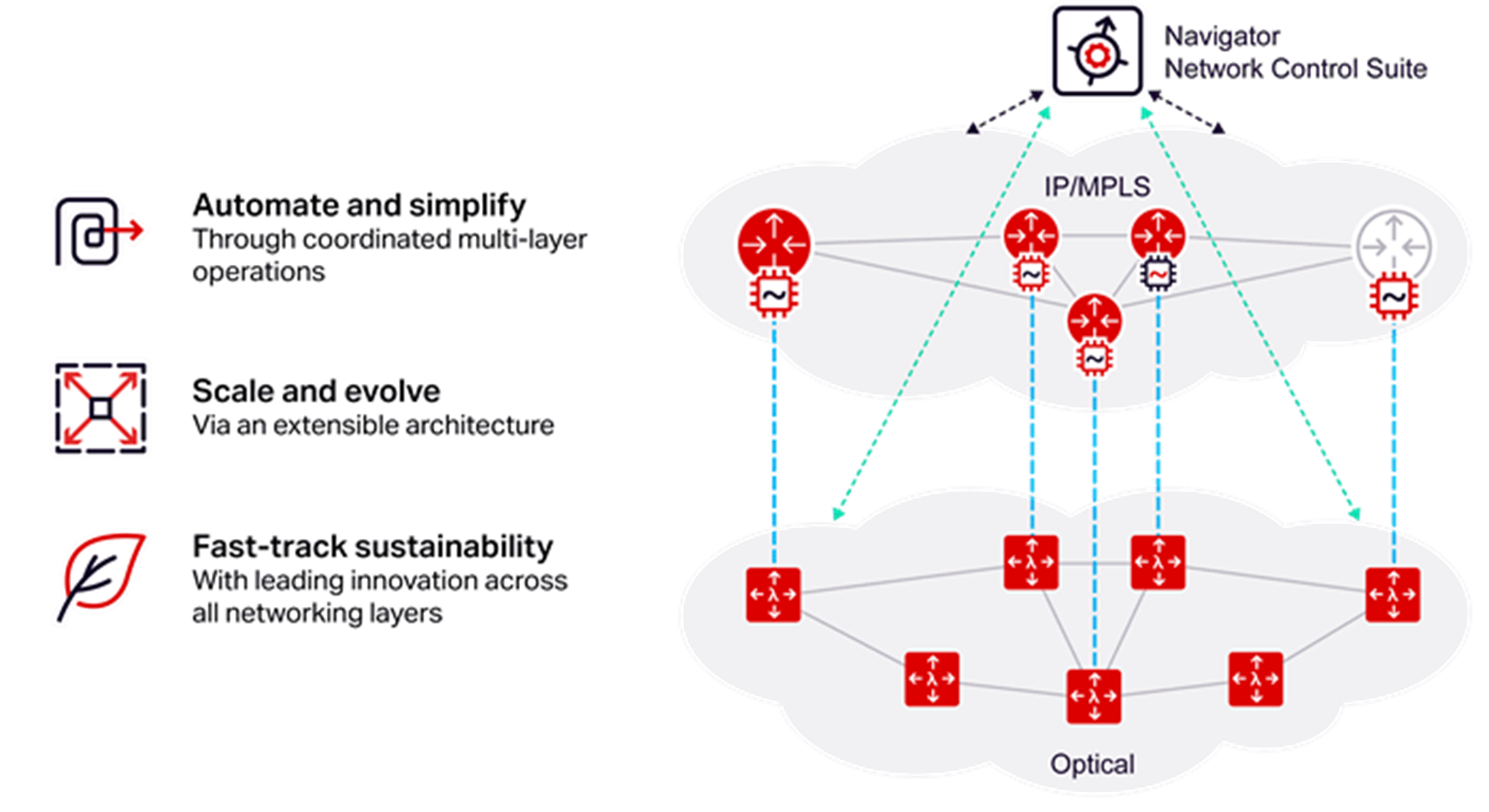 Ciena's coherent routing diagram