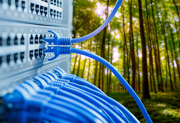 blue cables plugged into a box